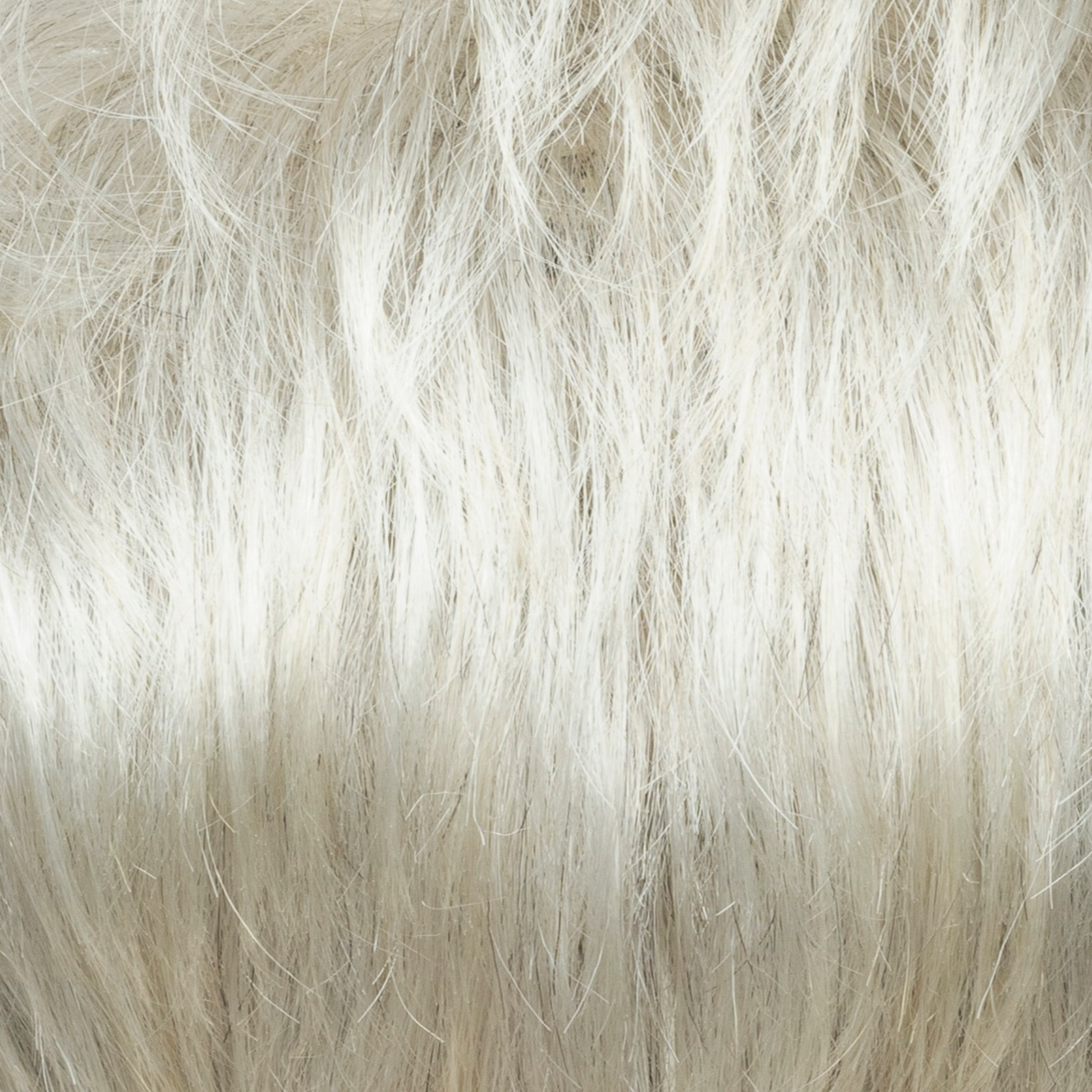 Champagne Silver  -  A combination of platinum blond and natural light grey. It has soft, light blond tones at the face line and has ends creates a refreshing, dimensional look.