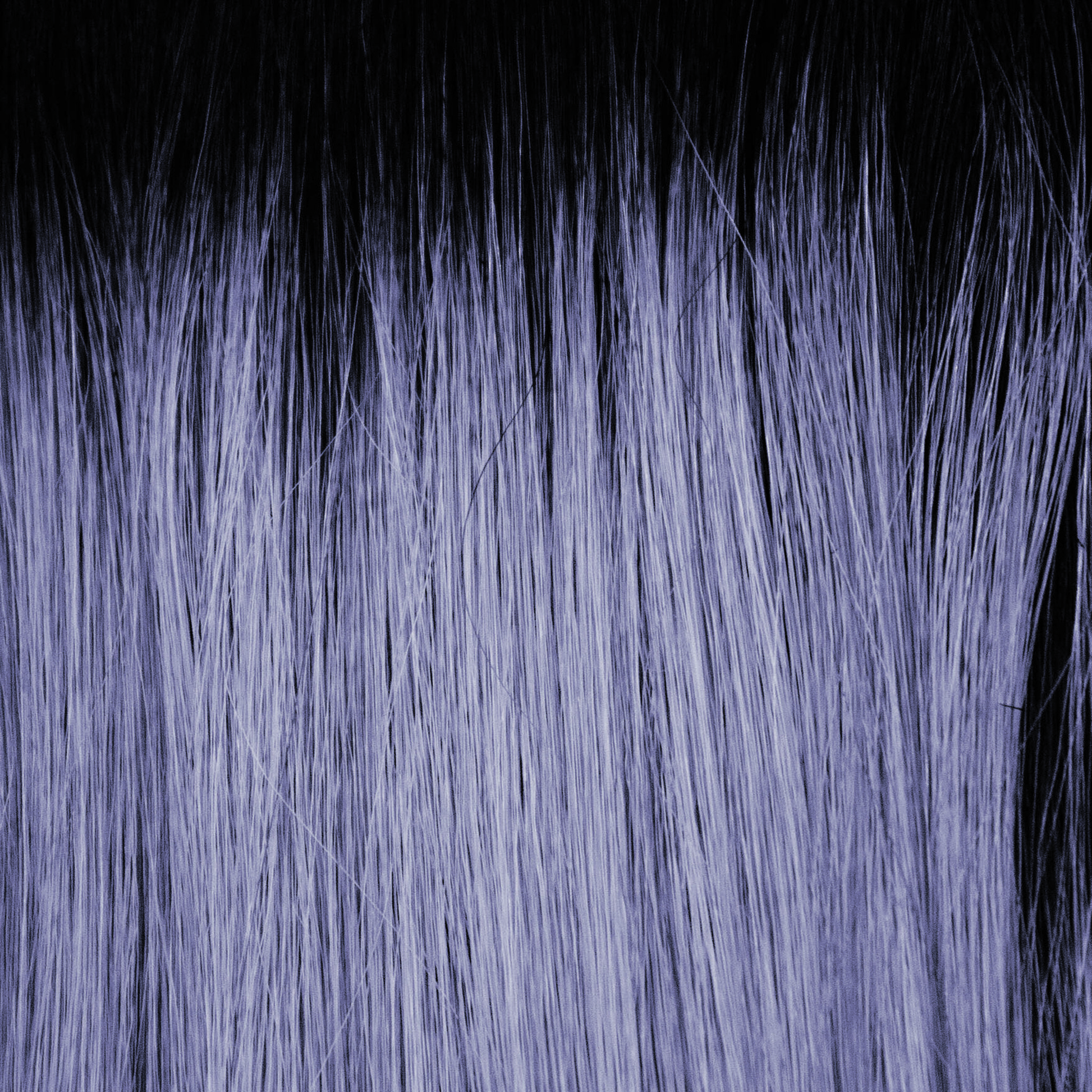 Lunar Haze  -  A smoky fused periwinkle base with off-black roots. Illuminating, smooth tone gives a stylish appearance.