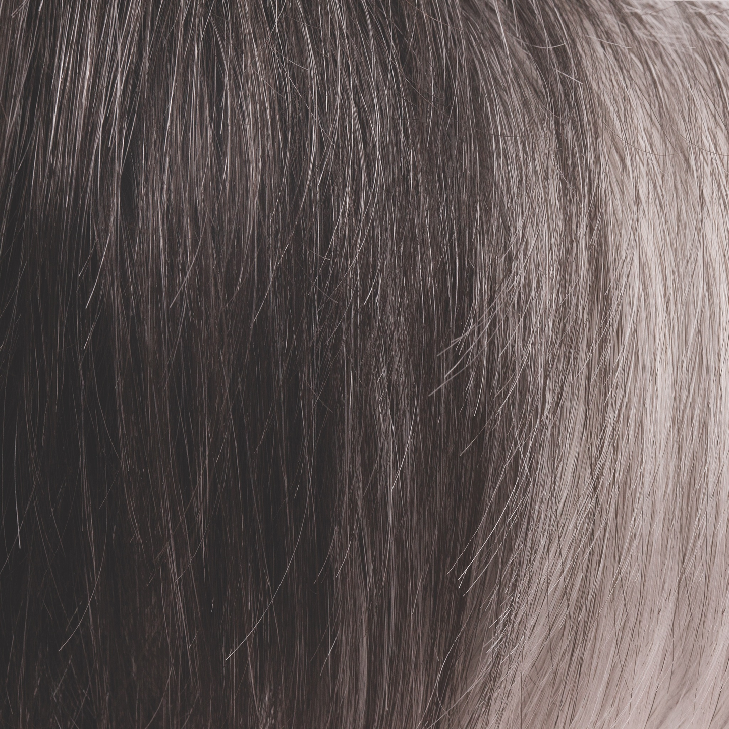 Midnight Pearl - A smoky fused gray stone base with off-black roots. This cool, unique and stunning gray gives a lush appearance that enhances any style with a beauty boost.