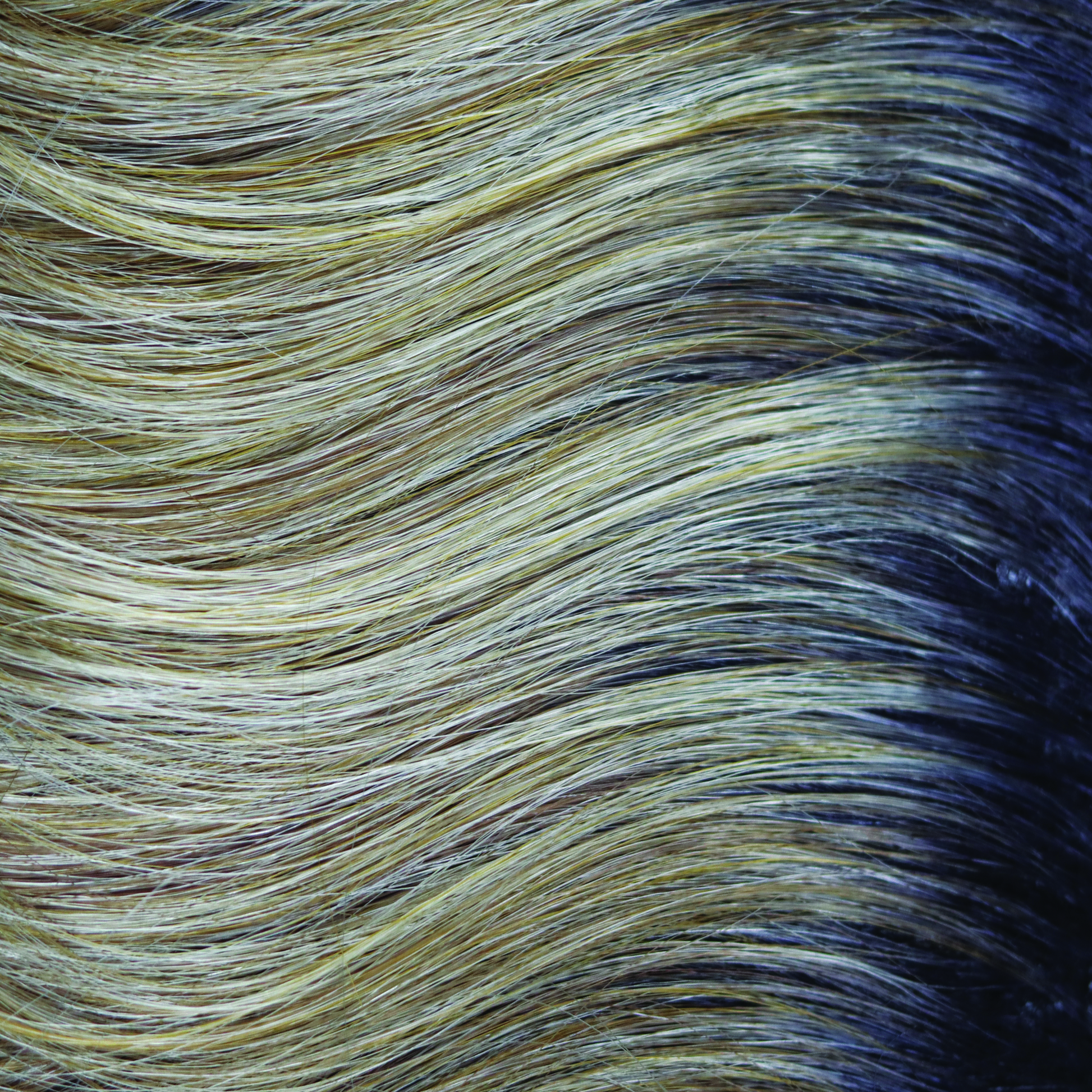 Peanutbutter Swirl  -  A rooted classy medium blond with pearl beige slices and tones of medium warm peanut butter slices and honeysuckle blonds. Peanut Butter Swirl is a deliciously warm color!