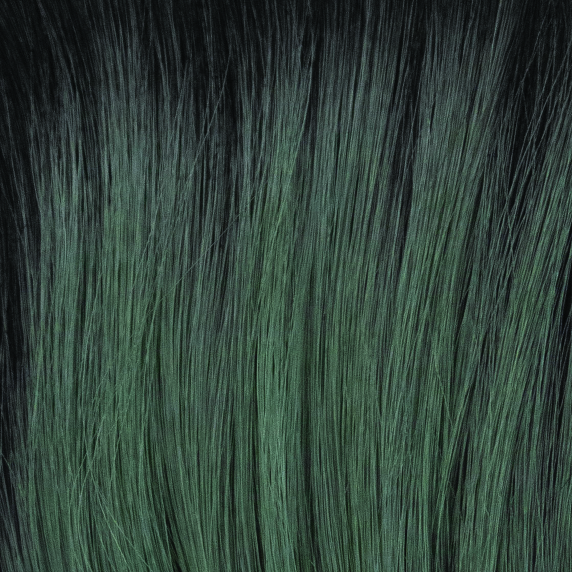 Smoky Forest  -  A fused forest green with off-black roots.