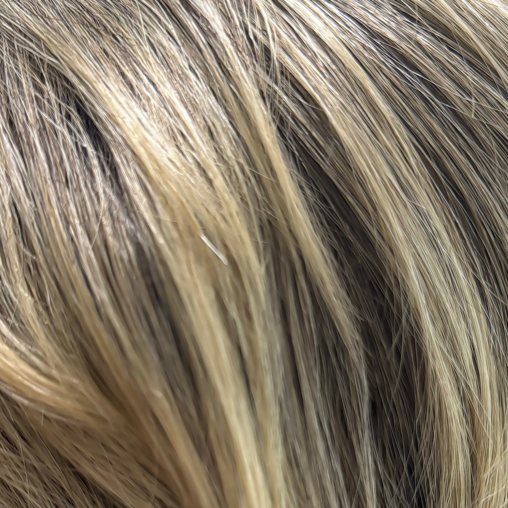 Sunny Blond  -  A textured mix of the palest ash blonds and natural wicker shades woven together with lowlights of dark beige browns.