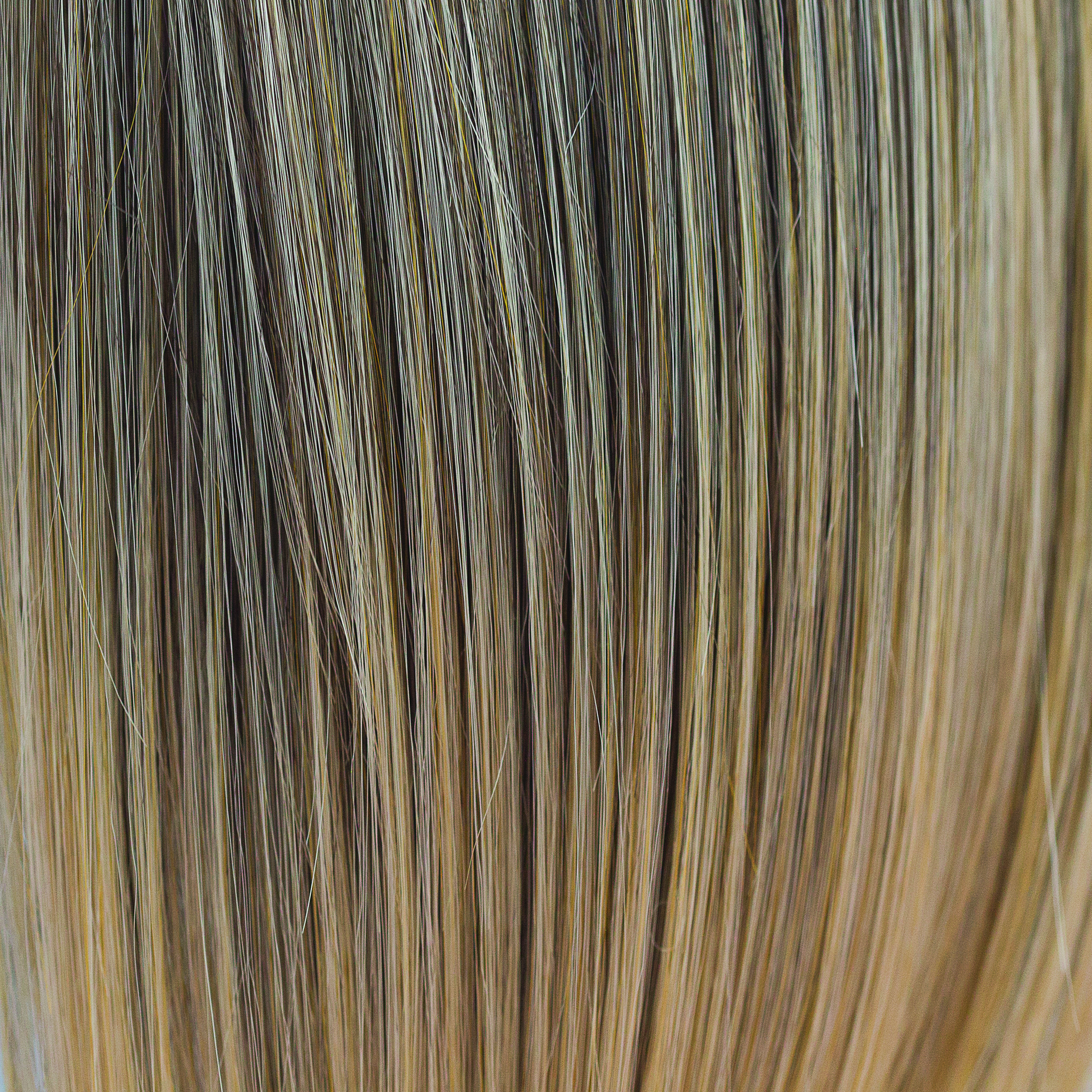 Sunny Spice - This warm deep coffee rooted color develops into a nutmeg and creamy toffee blond of chunky slices.